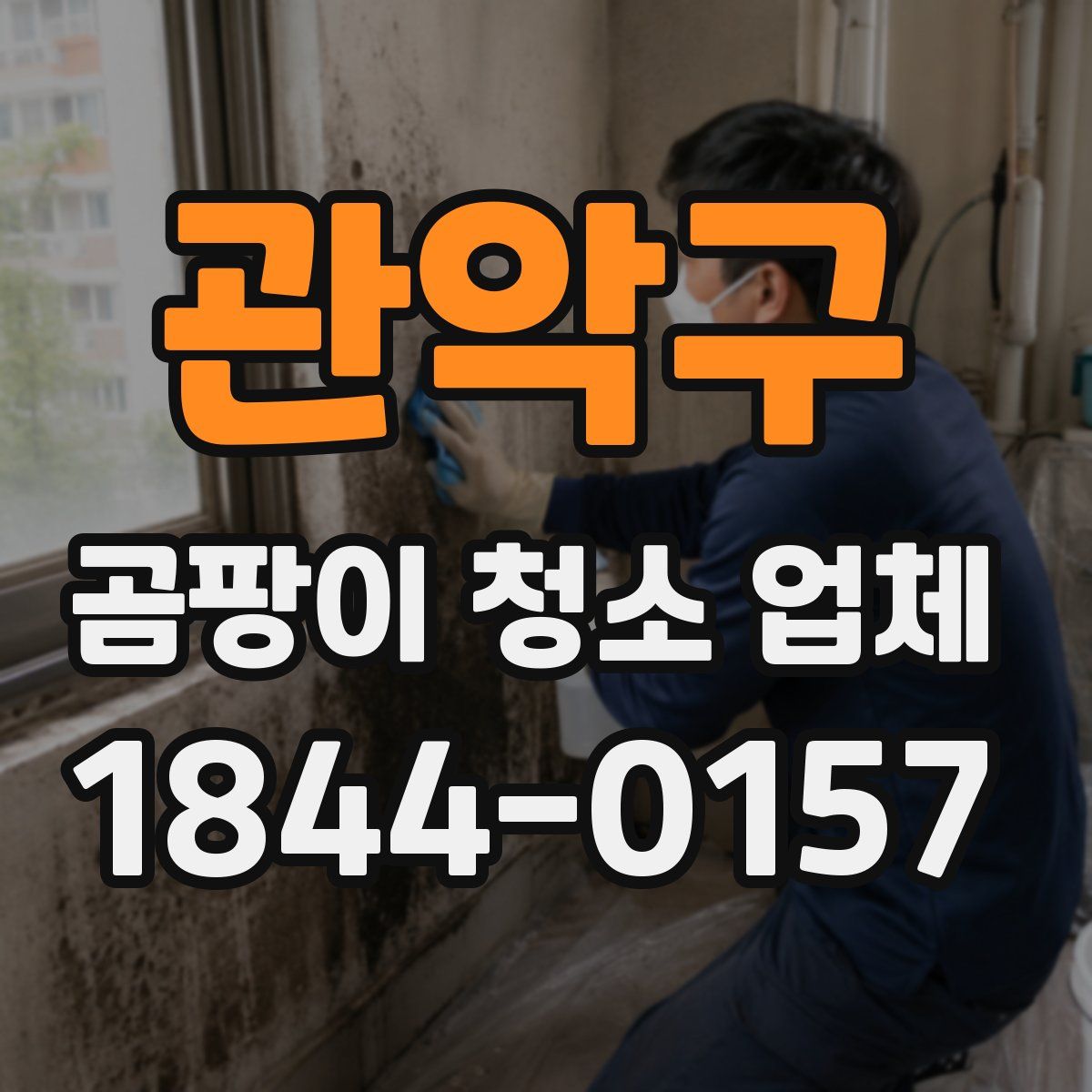 관악구 곰팡이 청소 업체