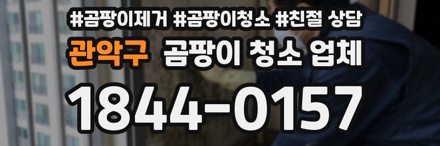 관악구 곰팡이 청소 업체