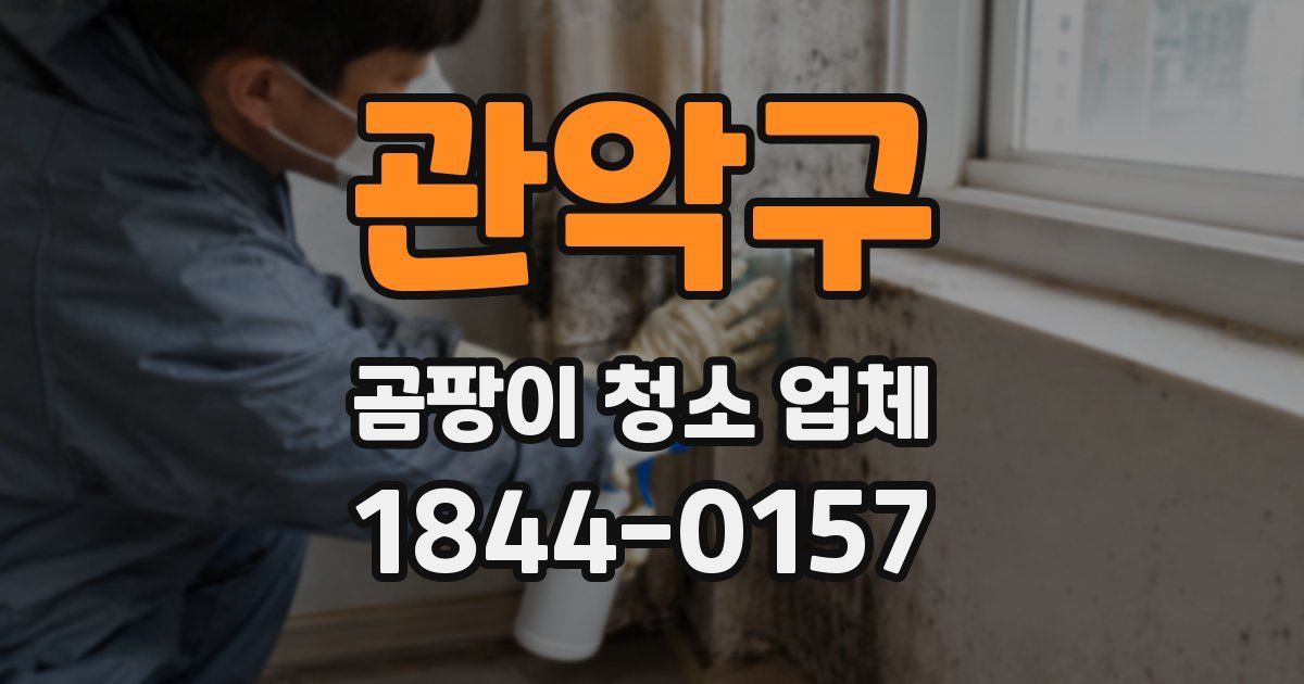 관악구 곰팡이 청소 업체