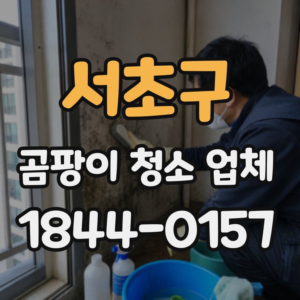 서초구 곰팡이 청소 업체