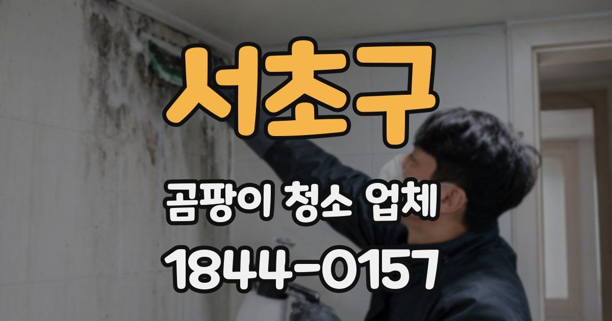 서초구 곰팡이 청소 업체