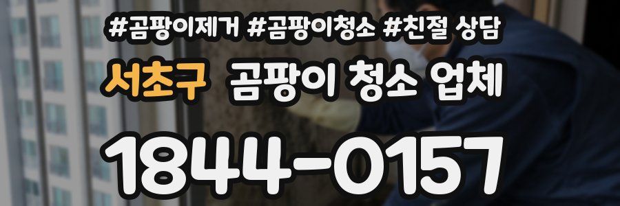 서초구 곰팡이 청소 업체