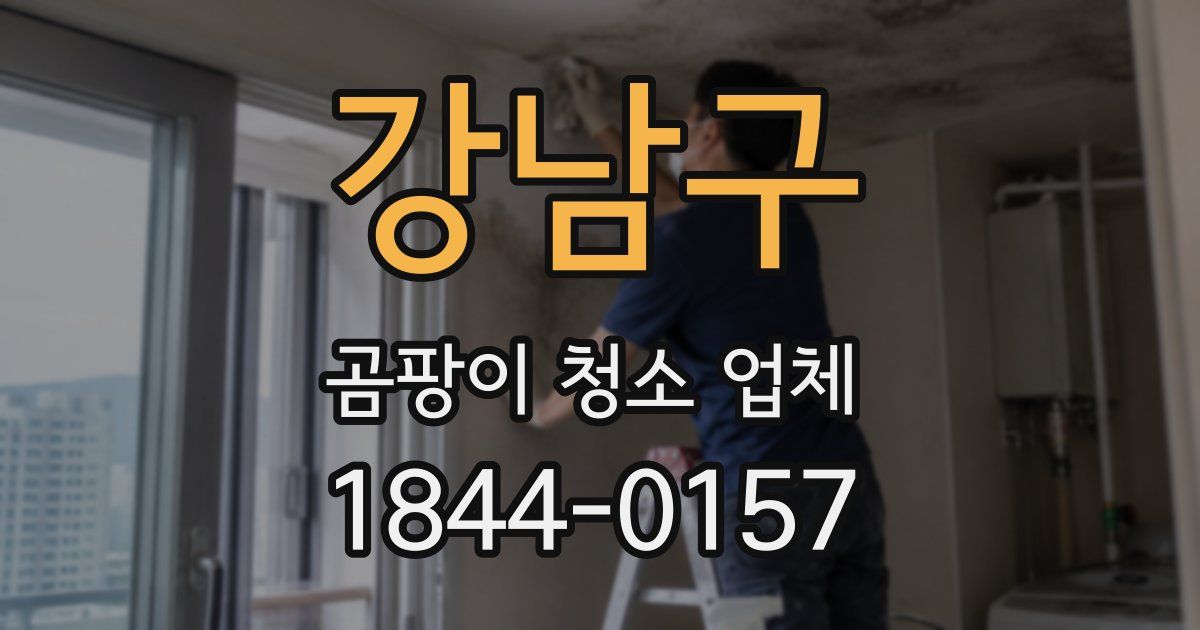 강남구 곰팡이 청소 업체
