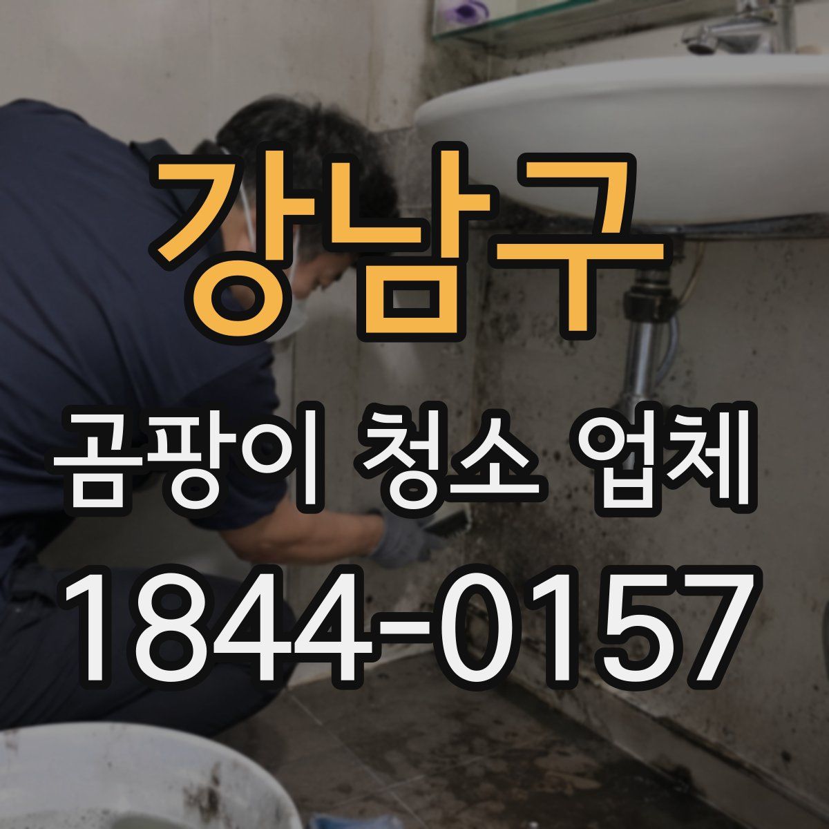강남구 곰팡이 청소 업체