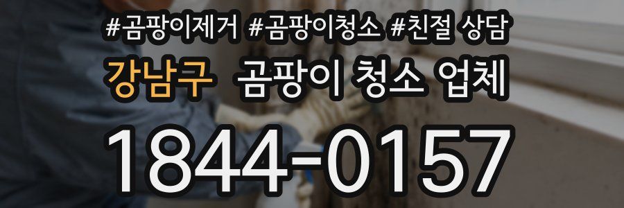 강남구 곰팡이 청소 업체