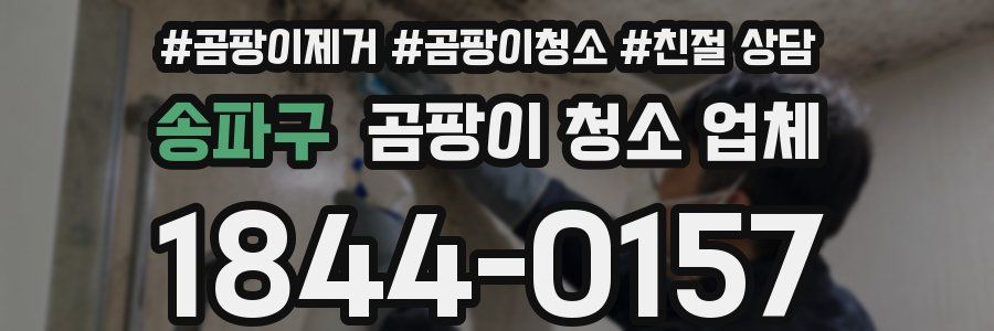 송파구 곰팡이 청소 업체