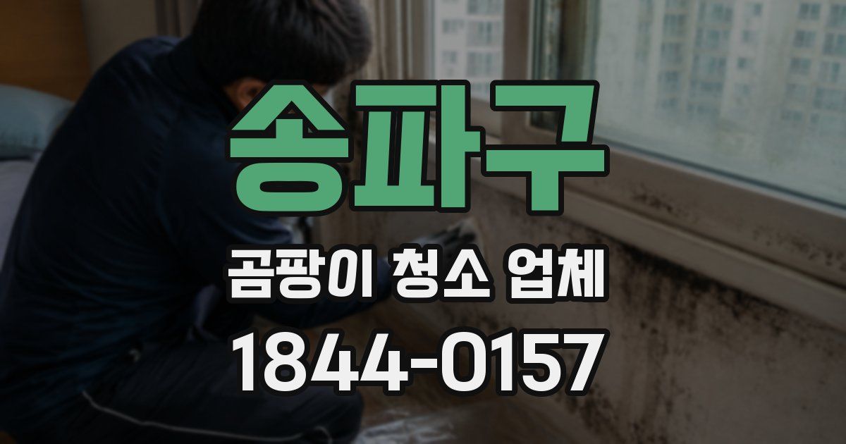 송파구 곰팡이 청소 업체