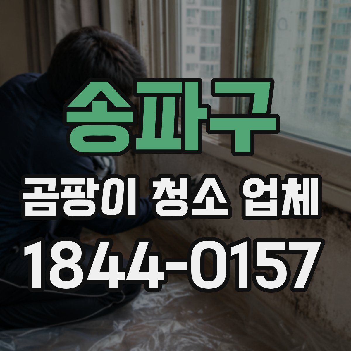 송파구 곰팡이 청소 업체