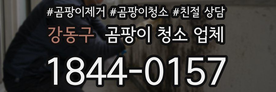 강동구 곰팡이 청소 업체