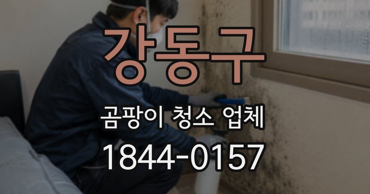 강동구 곰팡이 청소 업체