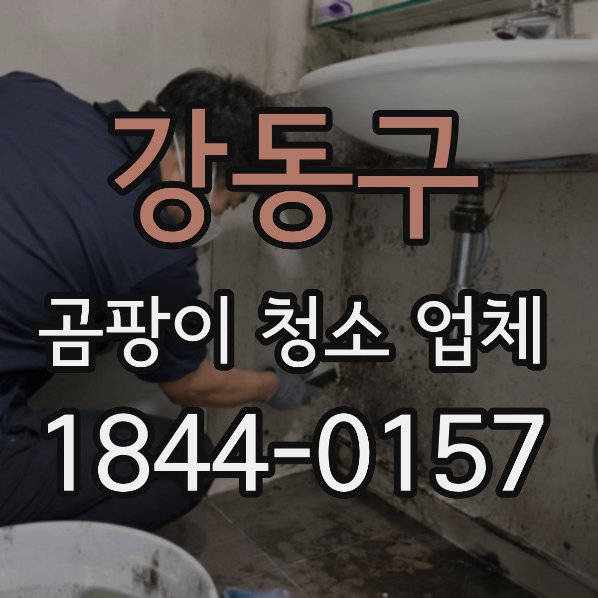 강동구 곰팡이 청소 업체