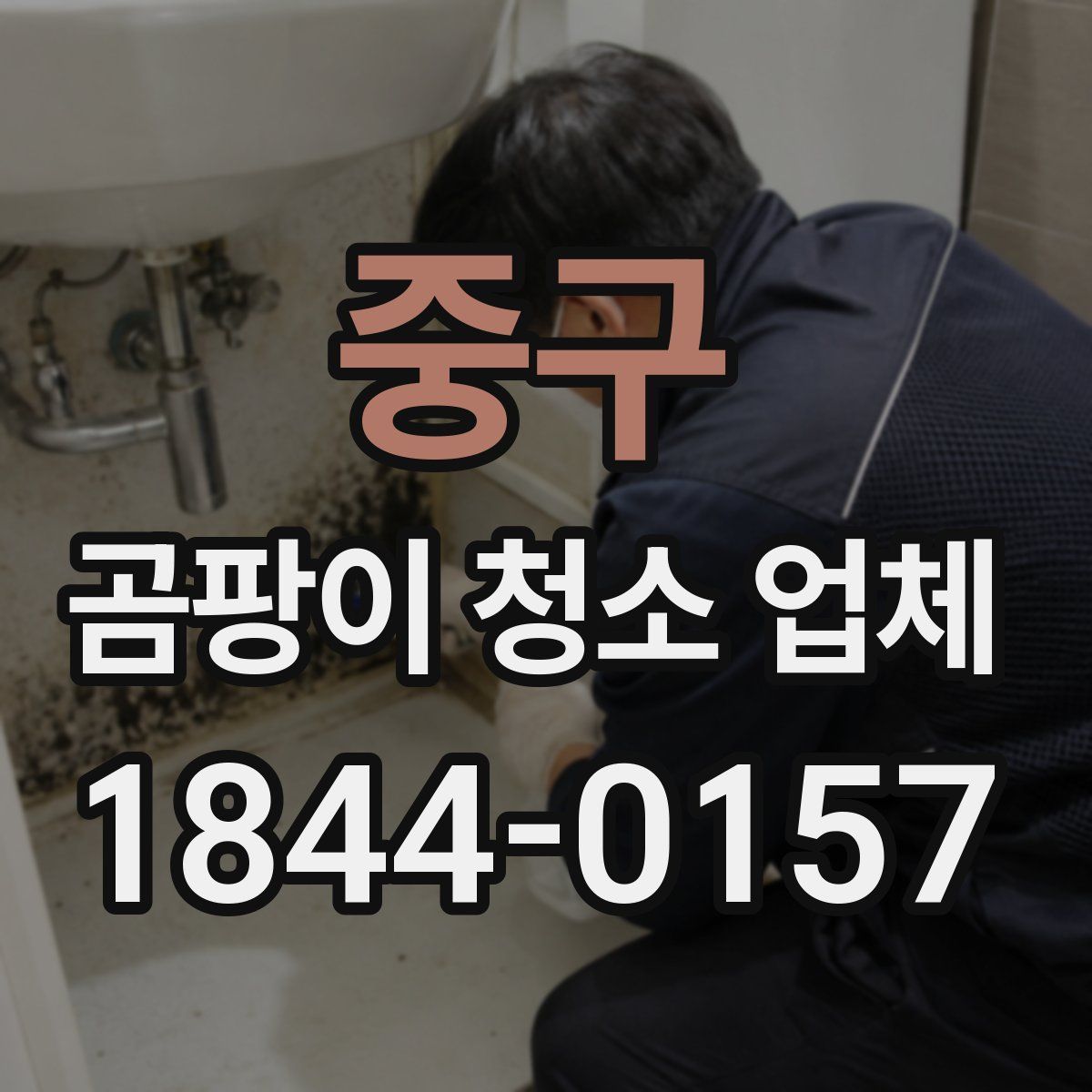 중구 곰팡이 청소 업체