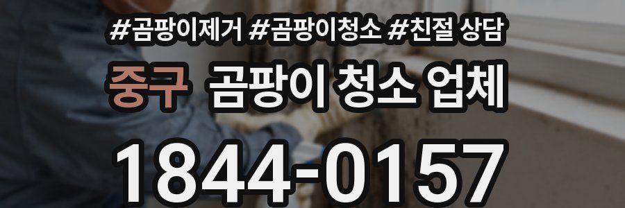 중구 곰팡이 청소 업체