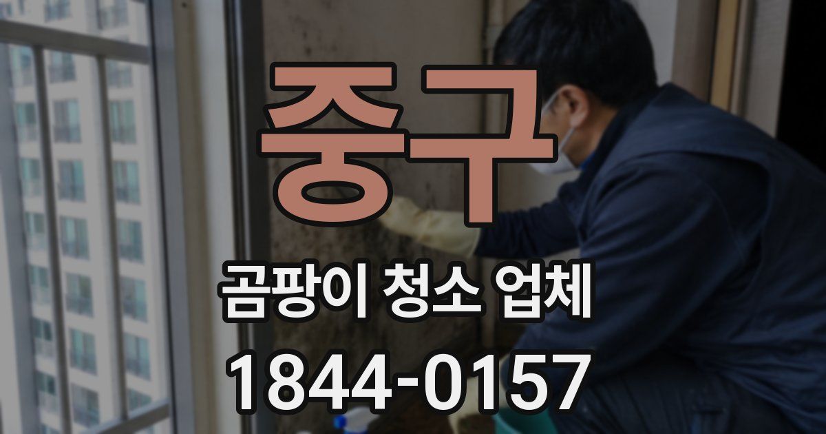중구 곰팡이 청소 업체