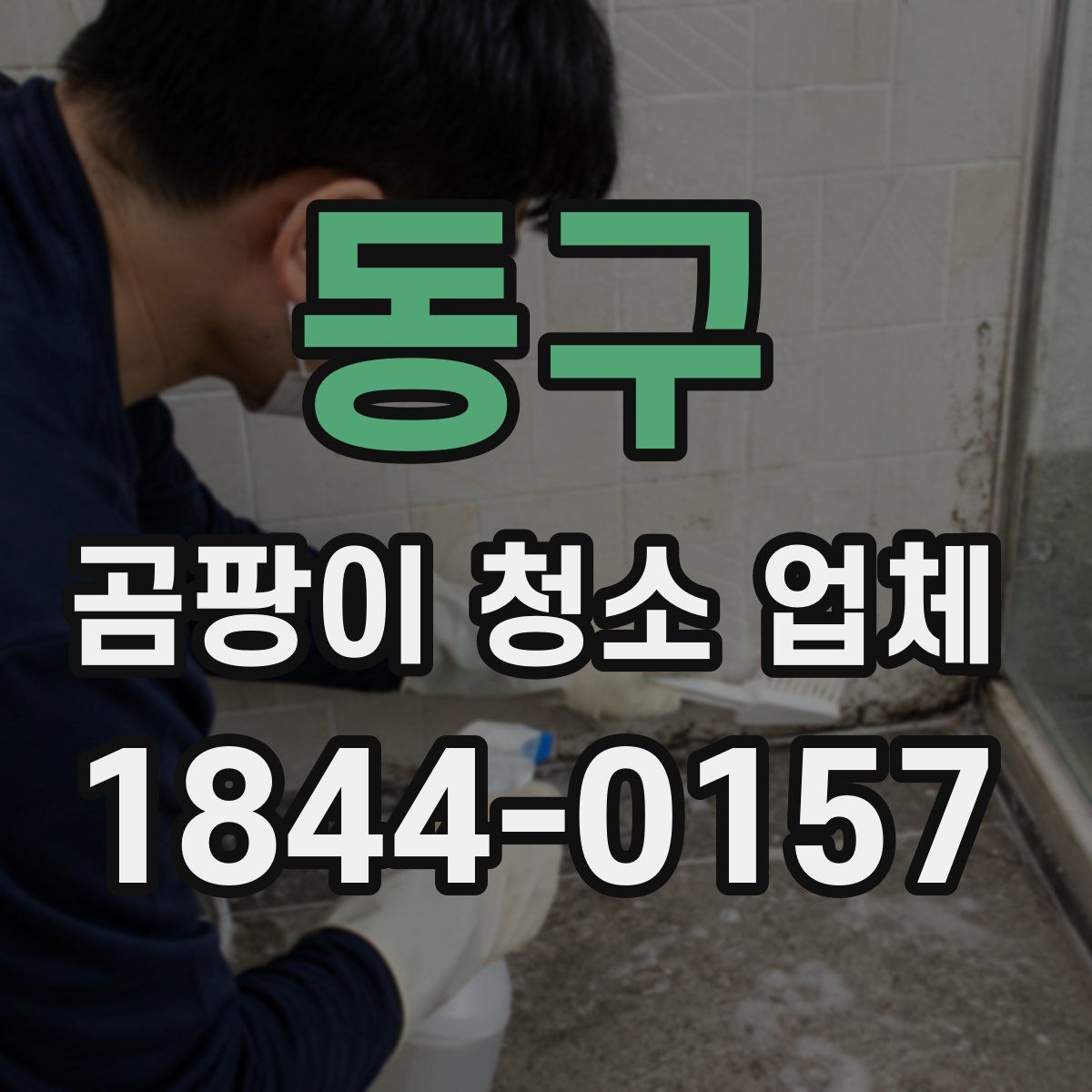 동구 곰팡이 청소 업체