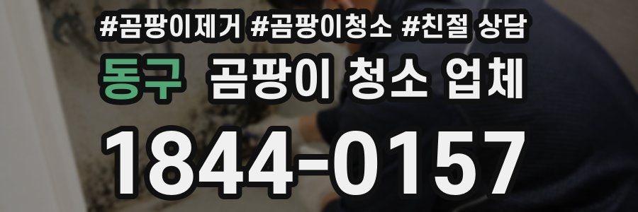 동구 곰팡이 청소 업체