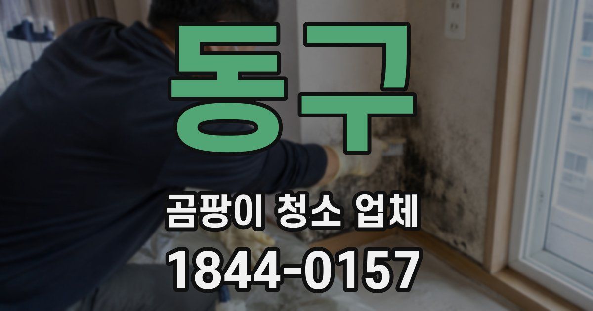 동구 곰팡이 청소 업체