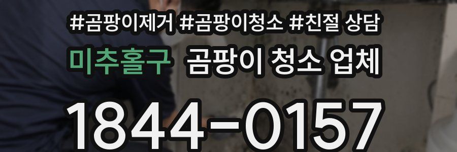 미추홀구 곰팡이 청소 업체