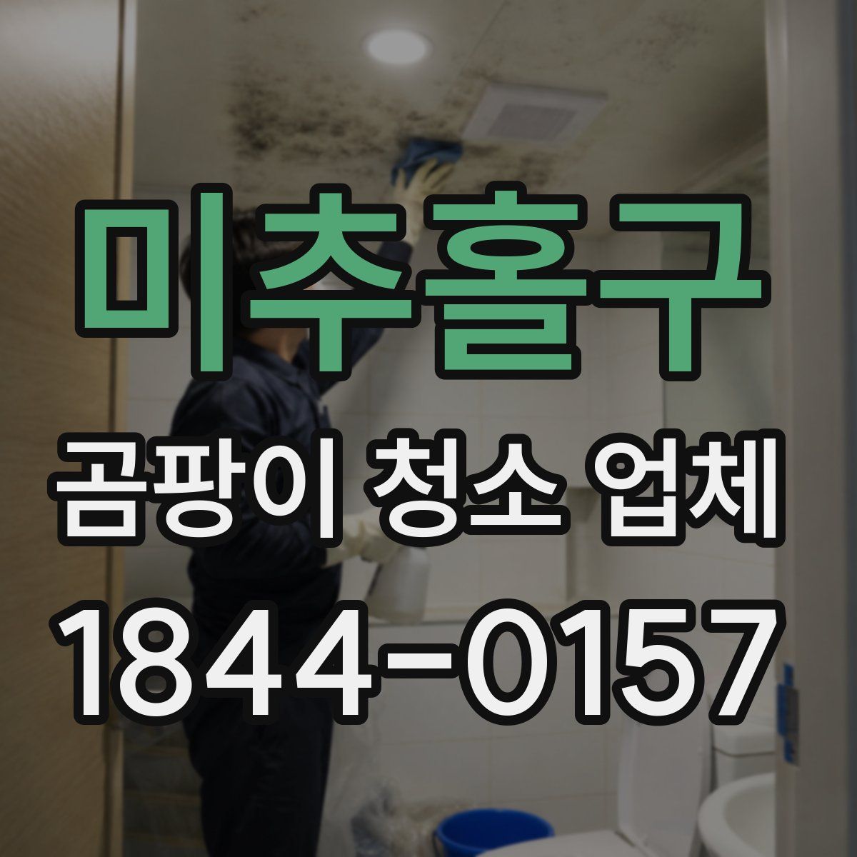 미추홀구 곰팡이 청소 업체