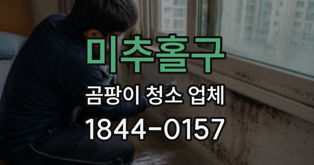 미추홀구 곰팡이 청소 업체