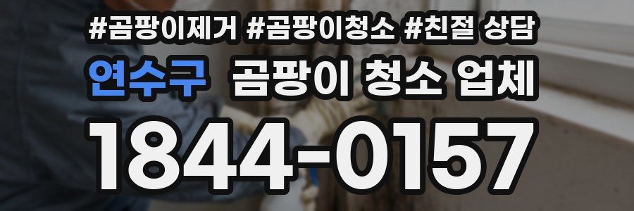 연수구 곰팡이 청소 업체