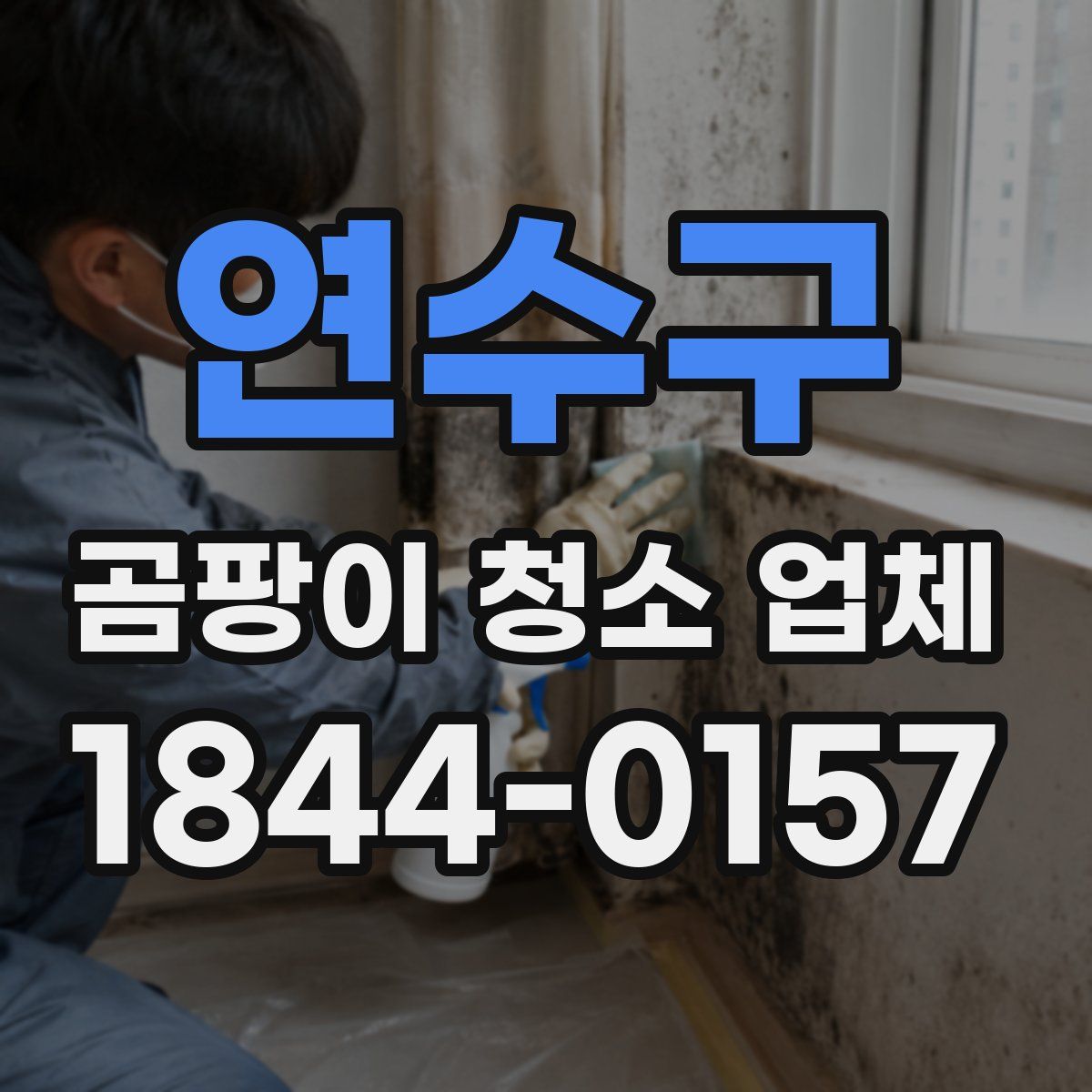 연수구 곰팡이 청소 업체