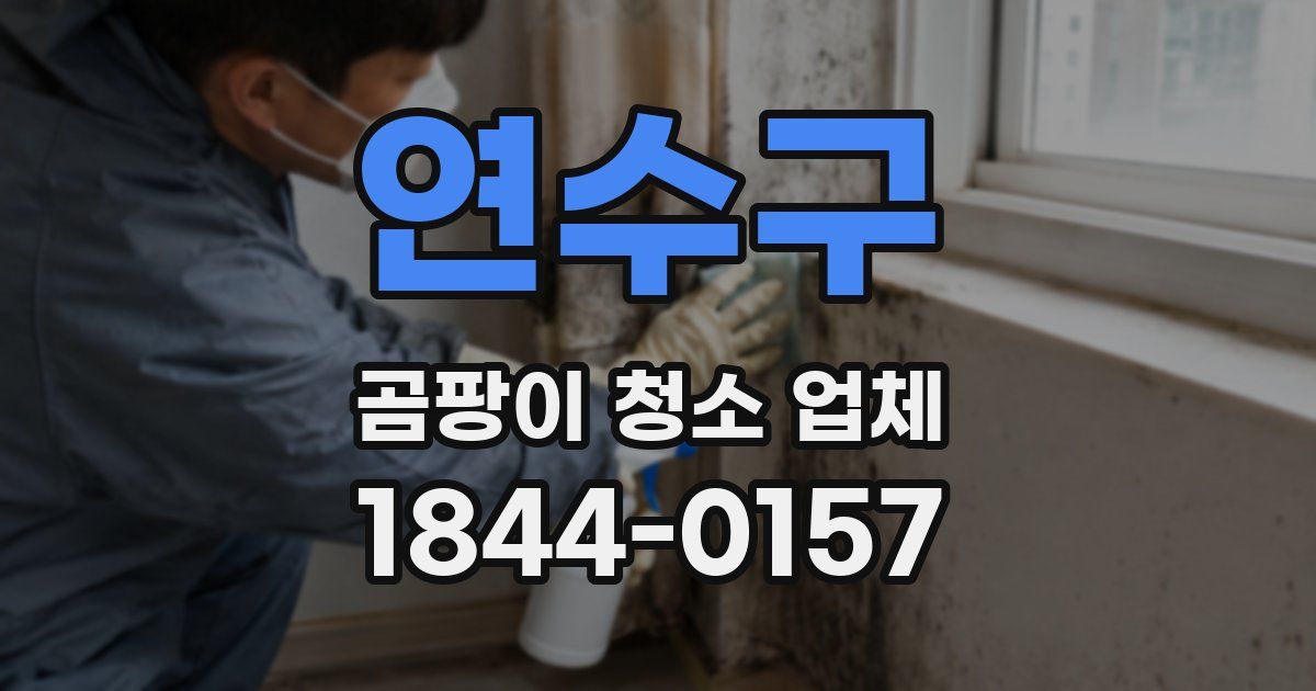 연수구 곰팡이 청소 업체