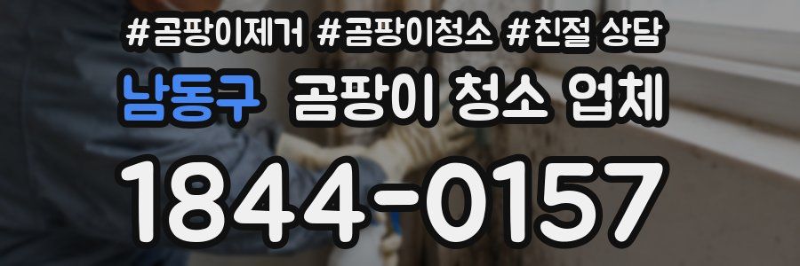 남동구 곰팡이 청소 업체