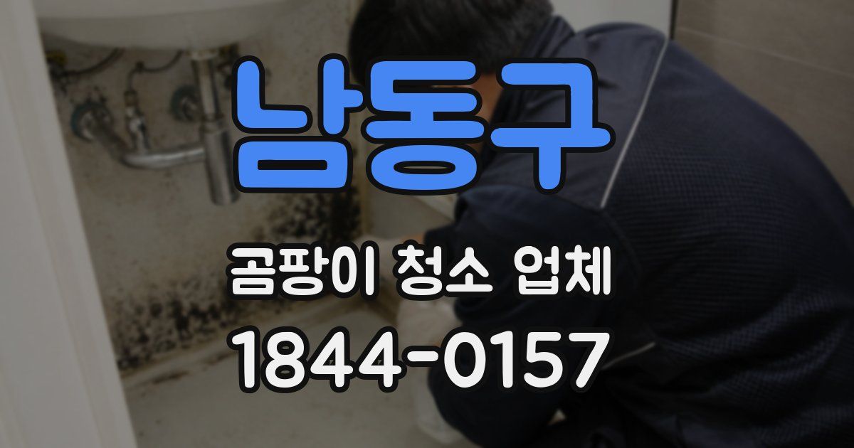 남동구 곰팡이 청소 업체