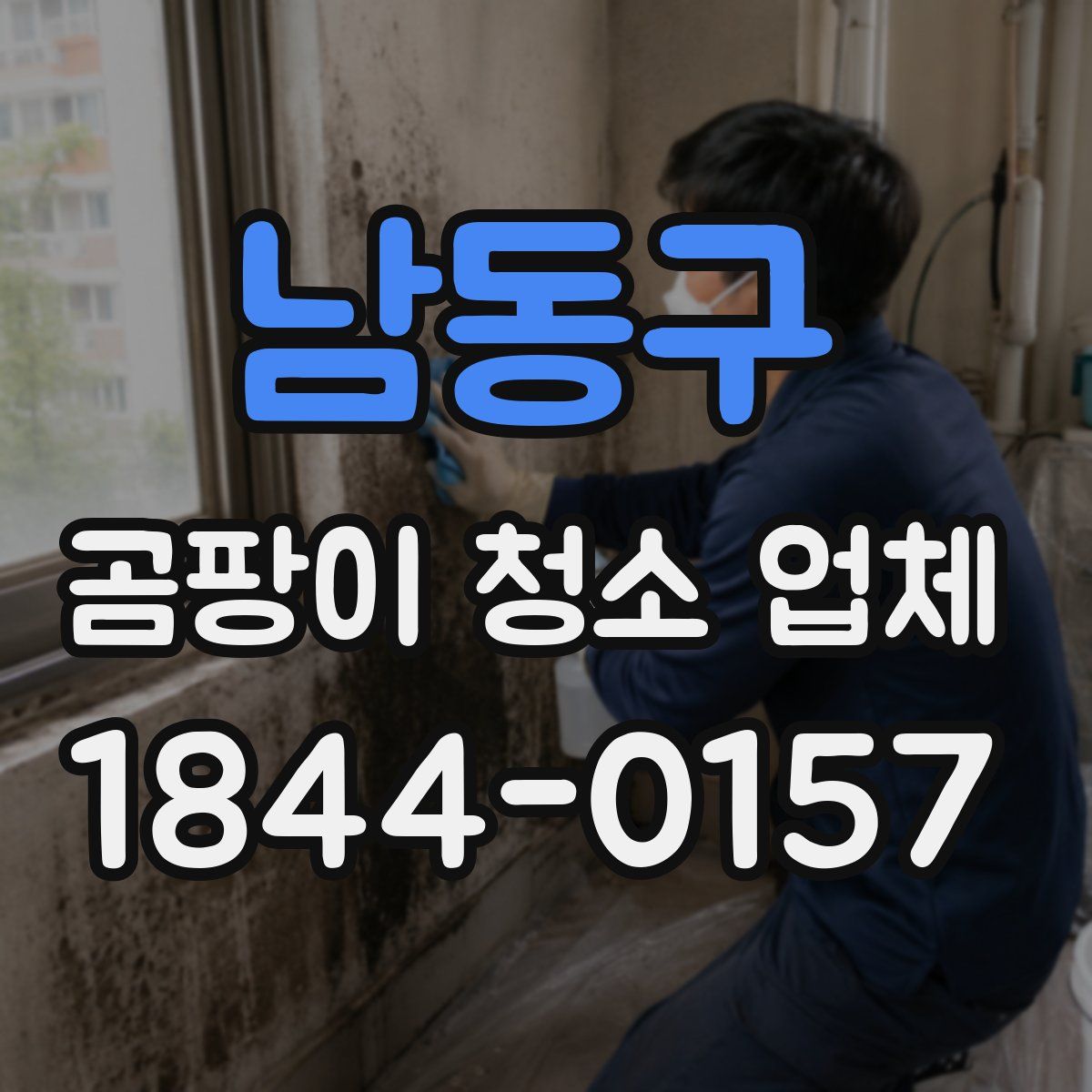 남동구 곰팡이 청소 업체