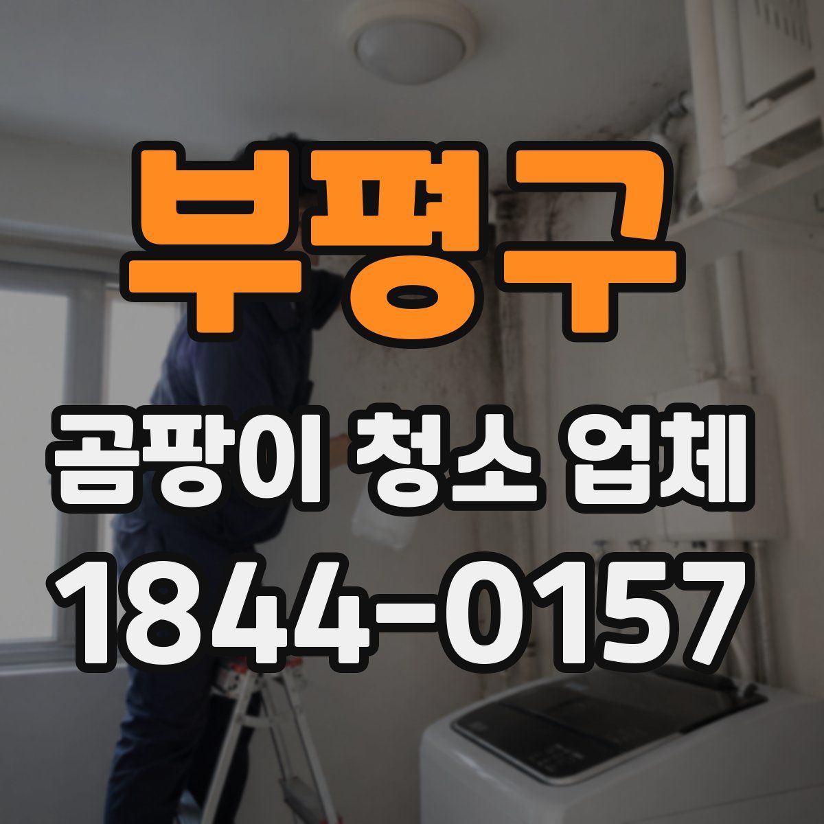 부평구 곰팡이 청소 업체