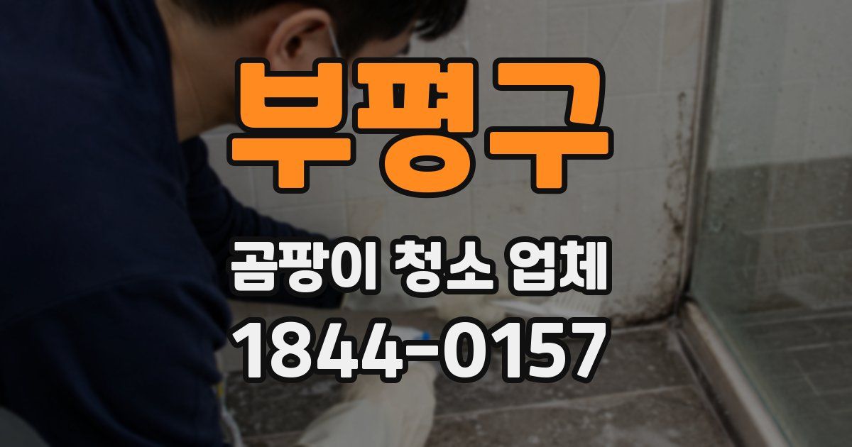 부평구 곰팡이 청소 업체