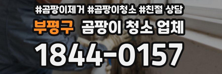 부평구 곰팡이 청소 업체