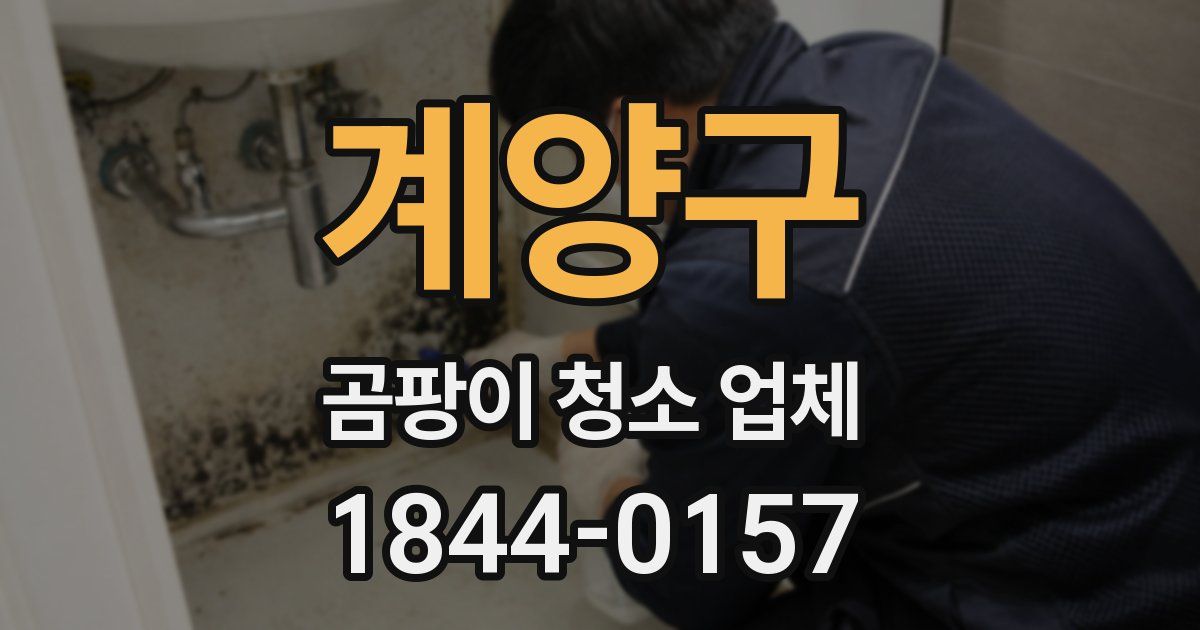 계양구 곰팡이 청소 업체