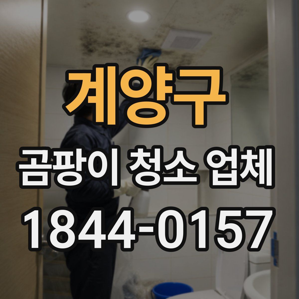 계양구 곰팡이 청소 업체