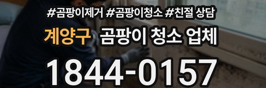 계양구 곰팡이 청소 업체