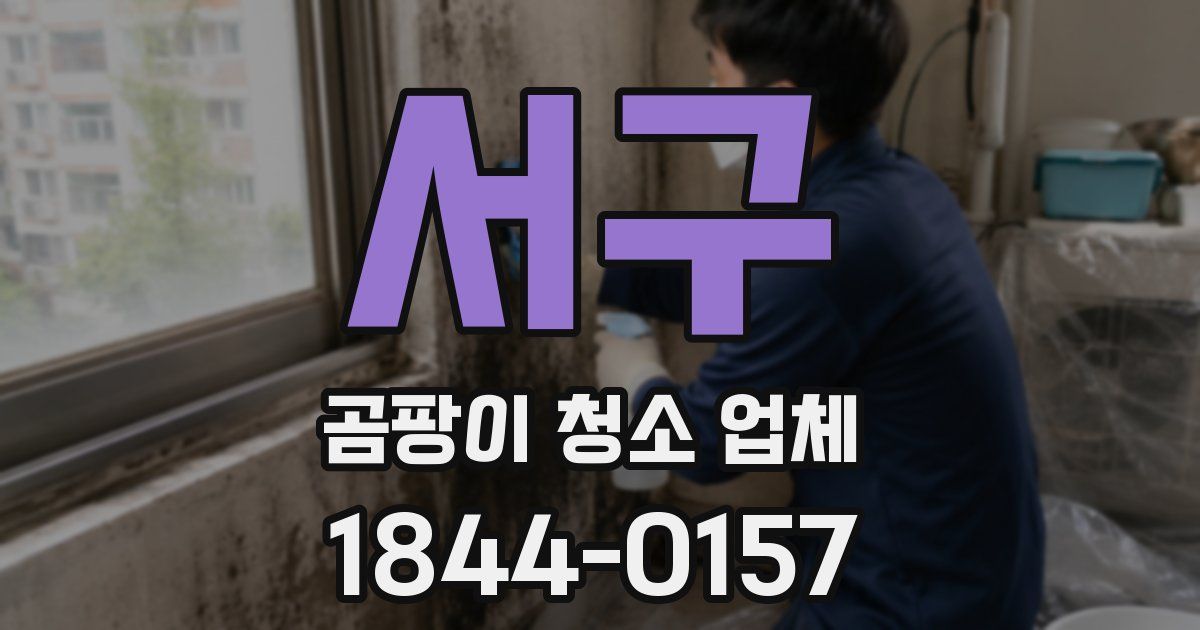 서구 곰팡이 청소 업체