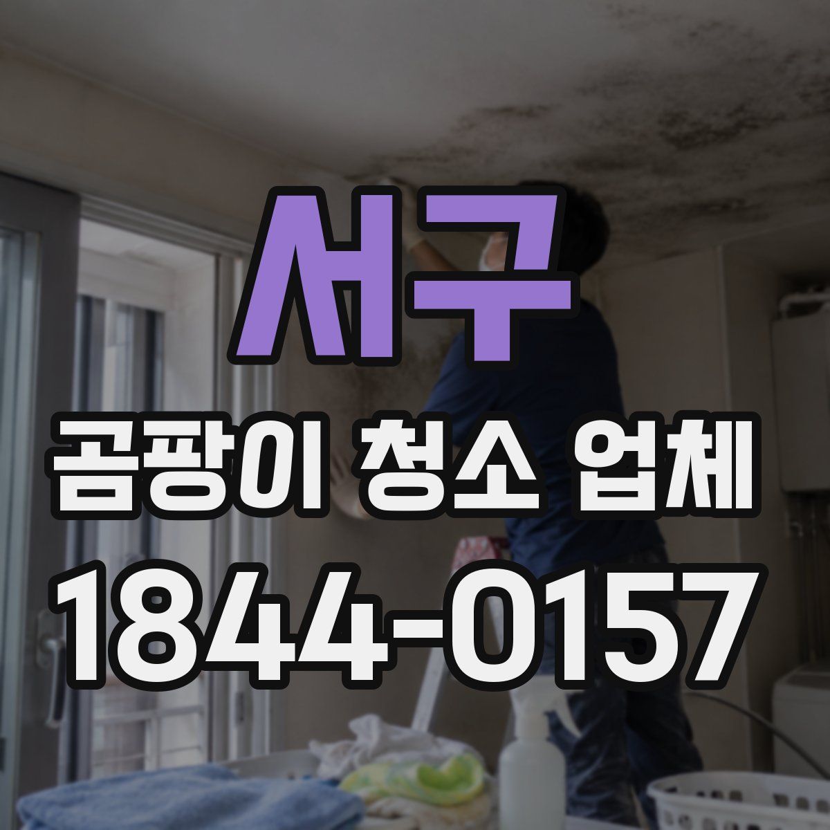 서구 곰팡이 청소 업체