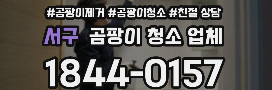 서구 곰팡이 청소 업체
