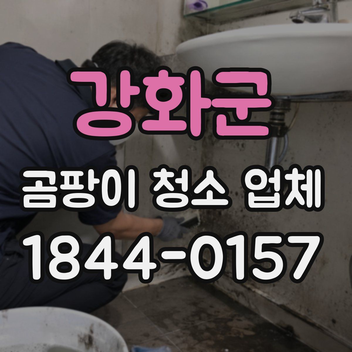 강화군 곰팡이 청소 업체