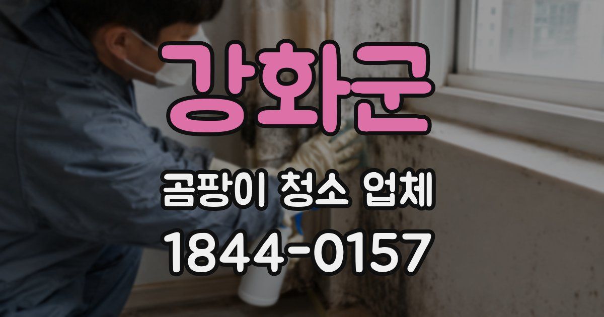 강화군 곰팡이 청소 업체