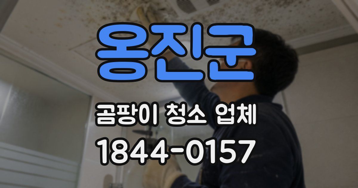 옹진군 곰팡이 청소 업체