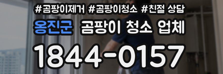 옹진군 곰팡이 청소 업체