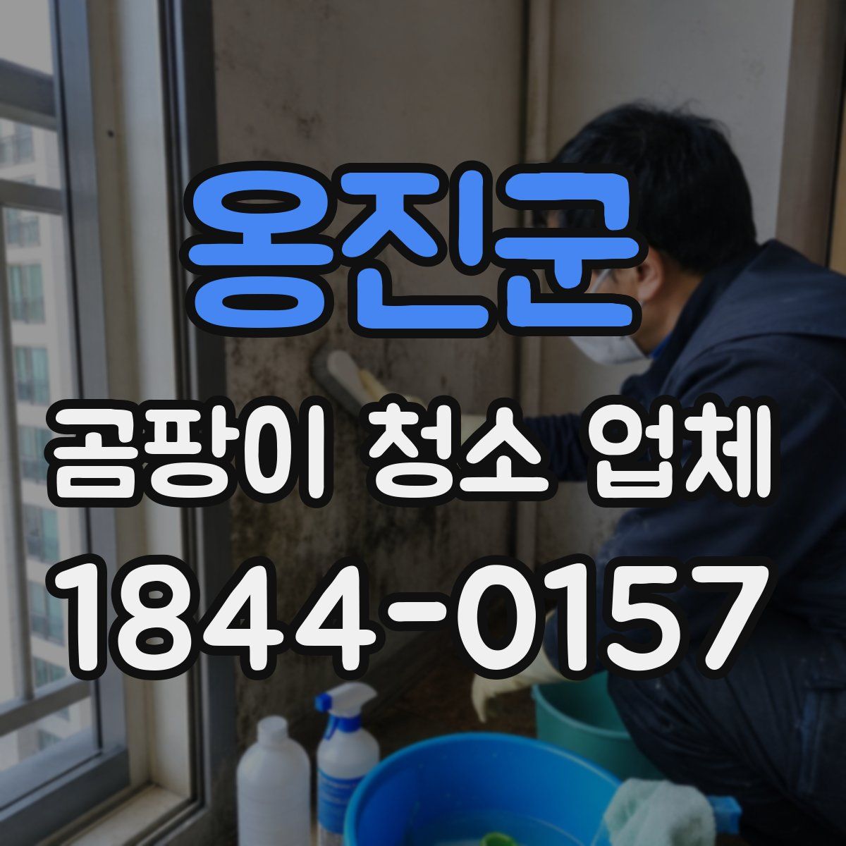 옹진군 곰팡이 청소 업체