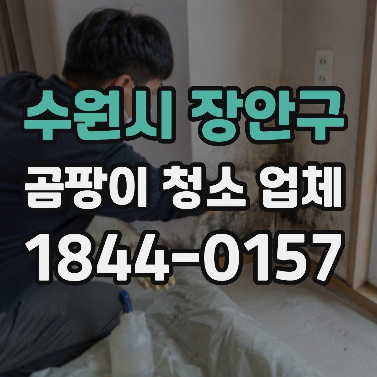 수원시 장안구 곰팡이 청소 업체 견적에서 자주 보는 항목