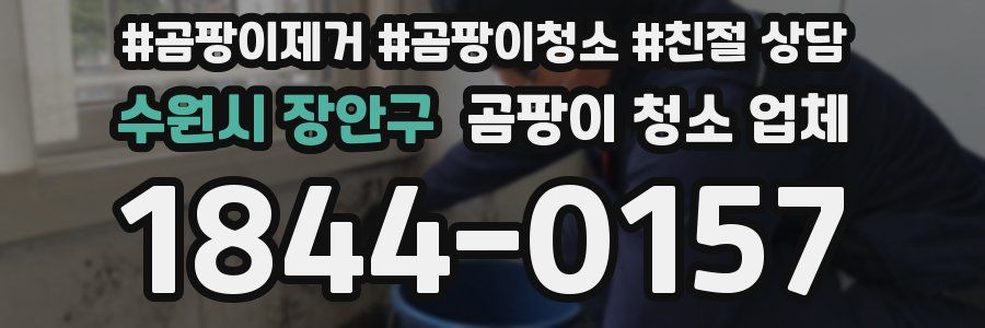 수원시 장안구 곰팡이 청소 업체