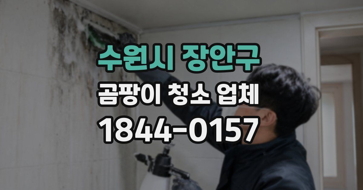 수원시 장안구 곰팡이 청소 업체