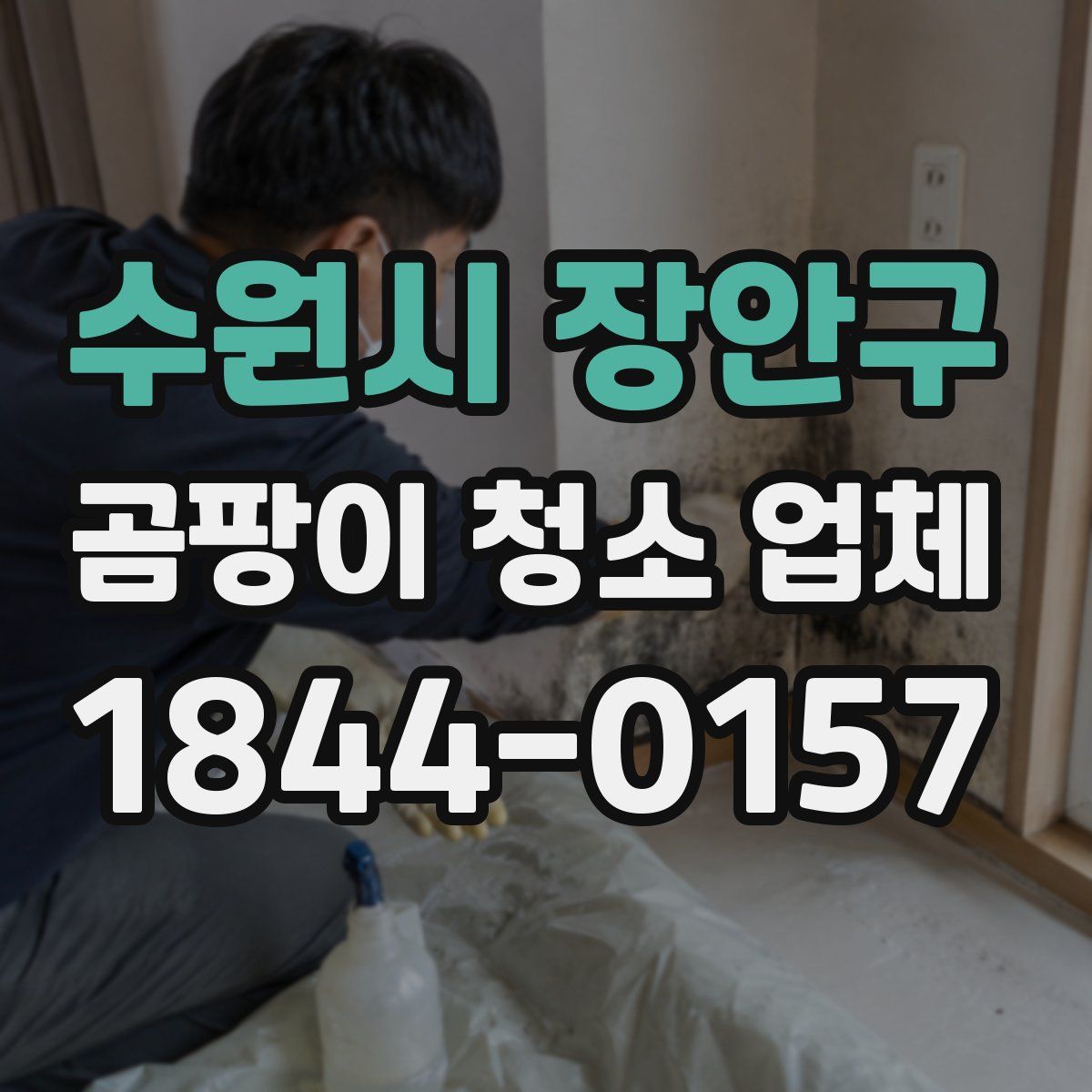 수원시 장안구 곰팡이 청소 업체
