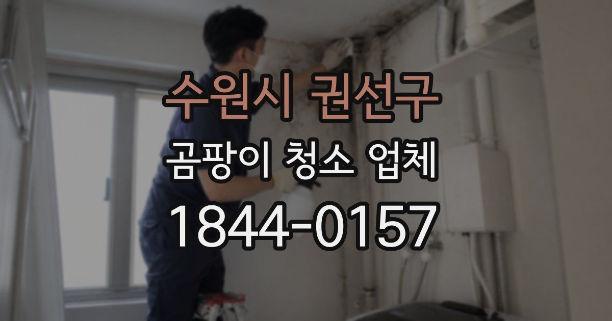 수원시 권선구 곰팡이 청소 업체