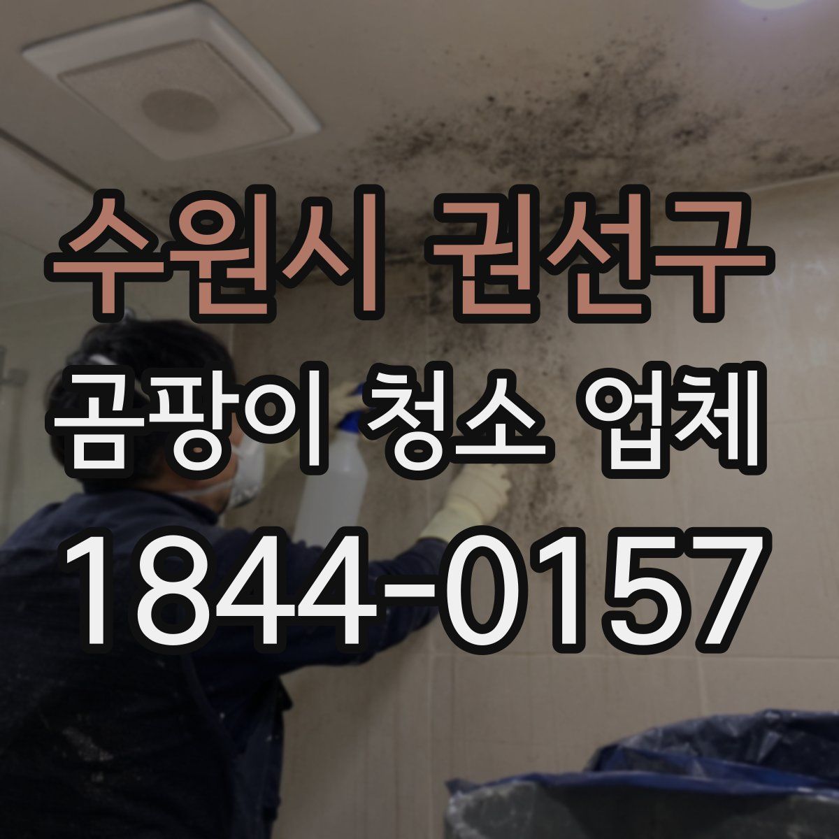 수원시 권선구 곰팡이 청소 업체